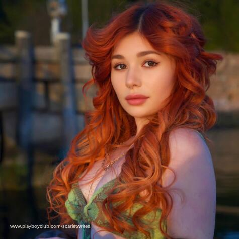 Asti Loren avatar