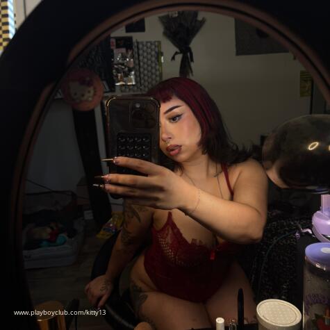 Kitty  avatar