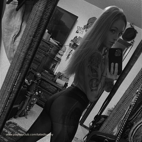 TattedBlondeBunny avatar