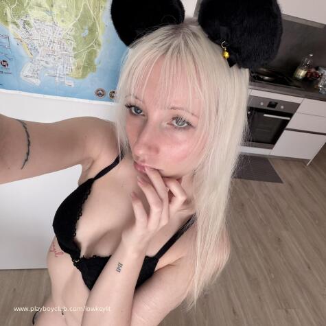 Linnea 🇸🇪  avatar