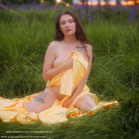 Elle Carter avatar